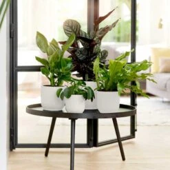 Elho Kruka Vibes Fold 22 Cm, Vit 5 Elho Kruka Vibes Fold 22 Cm, Vit -Garden Supplies Sales 2024 kruka vibes fold 14 cm miljobild