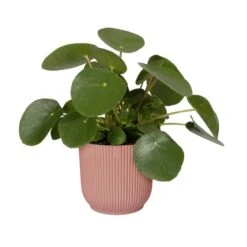 Elho Kruka Vibes Fold 22 Cm, Rosa -Garden Supplies Sales 2024 kruka vibes fold 22 cm rosa m blomma