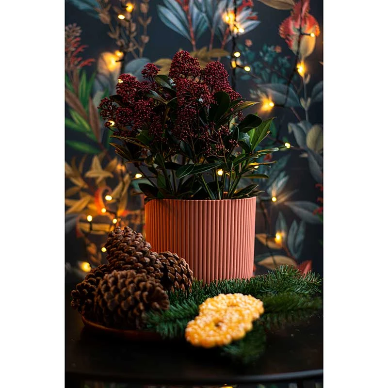 Elho Kruka Vibes Fold 25 Cm, Rosa 4 Elho Kruka Vibes Fold 25 Cm, Rosa - Image 2