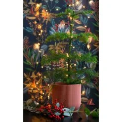 Elho Kruka Vibes Fold 25 Cm, Rosa 7 Elho Kruka Vibes Fold 25 Cm, Rosa -Garden Supplies Sales 2024 kruka vibes fold rosa