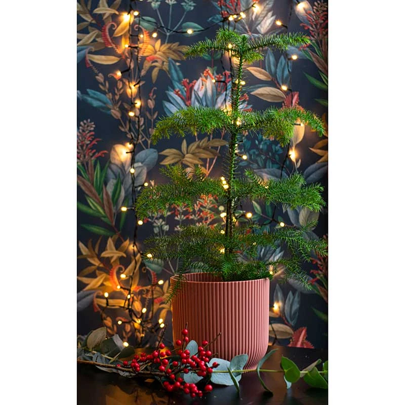 Elho Kruka Vibes Fold 25 Cm, Rosa 5 Elho Kruka Vibes Fold 25 Cm, Rosa - Image 3