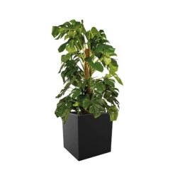 Elho Kruka Vivo Med Hjul 39x39 Cm, Svart 11 Elho Kruka Vivo Med Hjul 39x39 Cm, Svart -Garden Supplies Sales 2024 kruka vivo med hjul 39x39 cm svart monstera