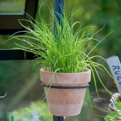 Juliana Krukhållare För Växthus 14 Cm