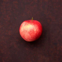 Äpple 'Mantet' - M Uppbindn -Garden Supplies Sales 2024 krukodlad apple mantet miljobild