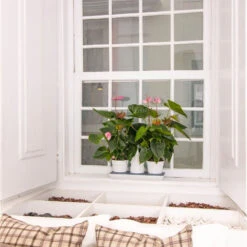 Minigarden Basic Pots M Vit 9 Minigarden Basic Pots M Vit -Garden Supplies Sales 2024 krukvaxter odlade i sjalvbevattning minigarden basic