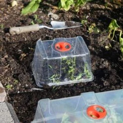 Minidrivhus Liten Utan Hål, 3-pack -Garden Supplies Sales 2024 kupa till minidrivhus liten i koksland wh 1