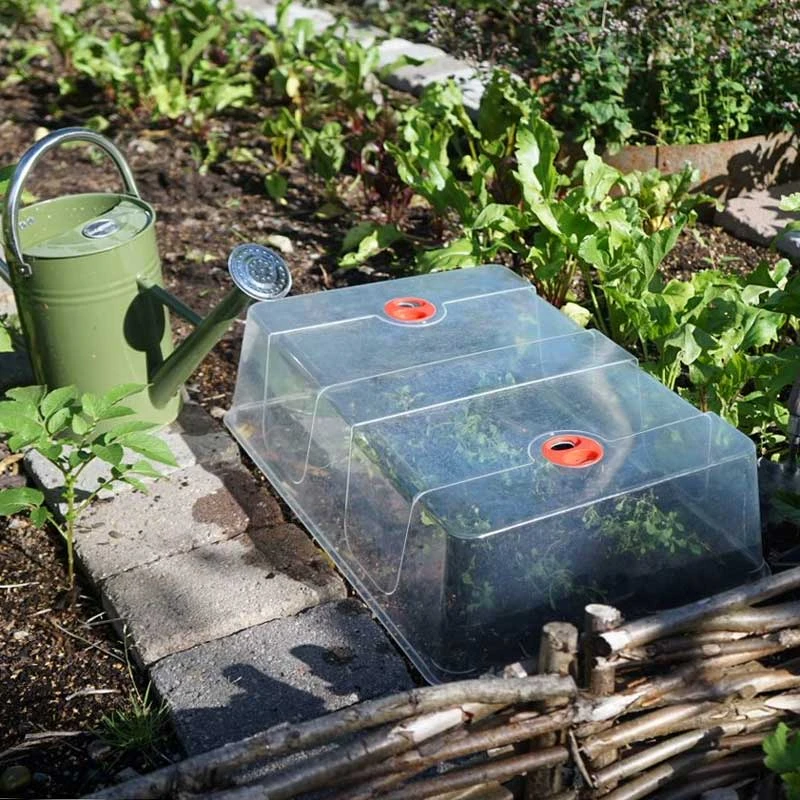 Kupa Till Minidrivhus, XL 4 Kupa Till Minidrivhus, XL - Image 2