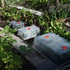 Kupa Till Minidrivhus, XL 7 Kupa Till Minidrivhus, XL -Garden Supplies Sales 2024 kupor till minidrivhus i koksland wh1