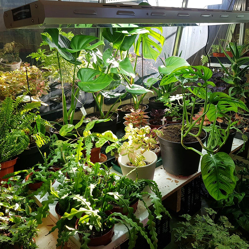 LightWave T5 8x54 W 4 LightWave T5 8x54 W - Image 2