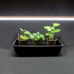 Växtlampa IP65 LED Lysrör Med Kabel