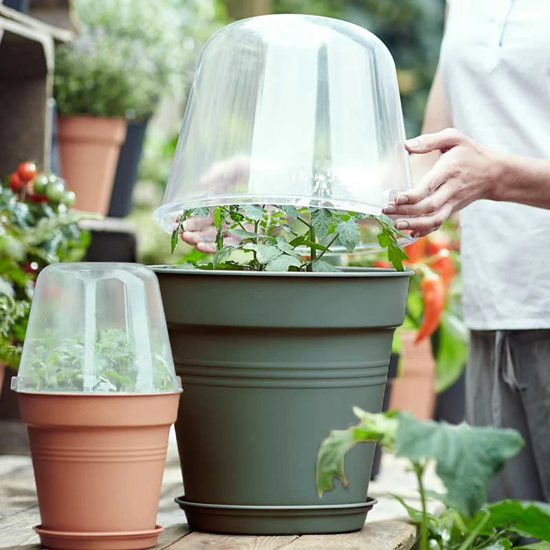 Elho Minidrivhus, Green Basics, Grön, 30 Cm 3 Elho Minidrivhus, Green Basics, Grön, 30 Cm