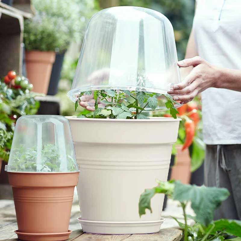 Elho Minidrivhus, Green Basics, Vit, 30 Cm 3 Elho Minidrivhus, Green Basics, Vit, 30 Cm