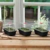 Minidrivhus Mini, Svart 3-pack -Garden Supplies Sales 2024 minidrivhus high dome tre svart