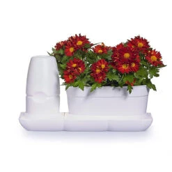 Minigarden Basic Uno S Vit -Garden Supplies Sales 2024 minigarden basic uno sjalvbevattningskruka
