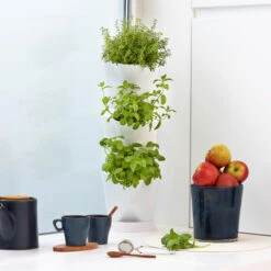 Minigarden Corner Vertikalodling, Svart -Garden Supplies Sales 2024 minigarden corner kryddor 1