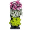Minigarden One Vertikalodling, Svart 2 Minigarden One Vertikalodling, Svart -Garden Supplies Sales 2024 minigarden one vertikalodling svart med begonia