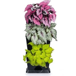 Minigarden One Vertikalodling, Svart