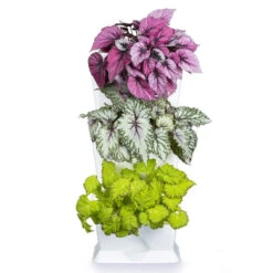 Minigarden One Vertikalodling, Vit -Garden Supplies Sales 2024 minigarden one vertikalodling vit