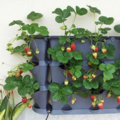 Minigarden Vertical Växtvägg, Grå -Garden Supplies Sales 2024 minigarden vertical grey