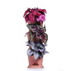 Minigarden One Vertikalodling, Vit -Garden Supplies Sales 2024 minigarden vertical odling av krukvaxter pa hojden 2