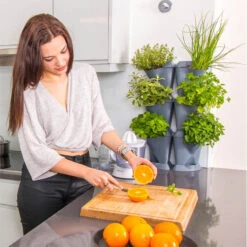 Minigarden Corner Vertikalodling, Svart -Garden Supplies Sales 2024 minigarden vertical tva stycken med kryddor i koket 1