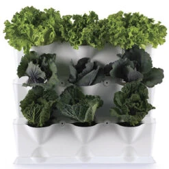 Minigarden Vertical Växtvägg, Vit -Garden Supplies Sales 2024 minigarden vertical vaxtvagg med kalvaxter 2