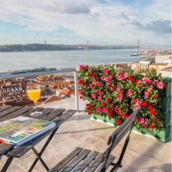 Minigarden Vertical Växtvägg, Grå -Garden Supplies Sales 2024 minigarden vertical vaxtvagg med rosor