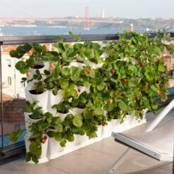 Minigarden Vertical Växtvägg, Svart -Garden Supplies Sales 2024 minigarden vertical vit jordgubbar