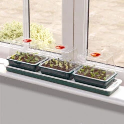 Miniväxthus 3 Kupor Med Undervärme