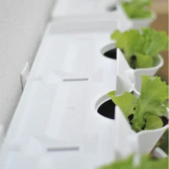 Minigarden Fäste, Fixers Grön 9 Minigarden Fäste, Fixers Grön -Garden Supplies Sales 2024 monterat vaggfaste minigarden vertical vaggodlingssystem 2