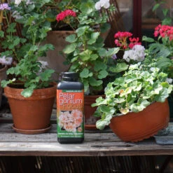 Pelargonnäring Pelargonium Focus, 1 Liter -Garden Supplies Sales 2024 naring for pelargoner wh
