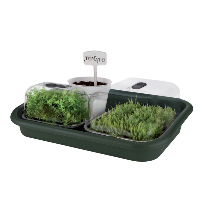 Elho Odlingsbricka Green Basics, 60x42 Cm 4 Elho Odlingsbricka Green Basics, 60x42 Cm - Image 2