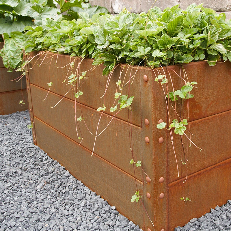 Odlingslåda Cortenplåt 80x120x40 Cm 6 Odlingslåda Cortenplåt 80x120x40 Cm - Image 4