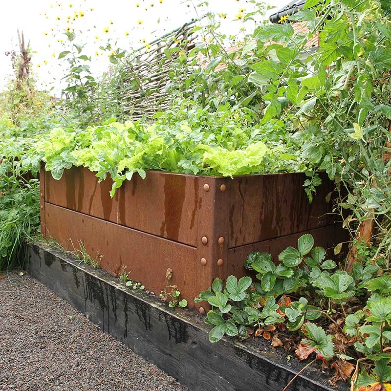 Odlingslåda Cortenplåt 80x120x40 Cm 3 Odlingslåda Cortenplåt 80x120x40 Cm