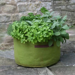 Odlingssäck Vigoroot Herb Planter