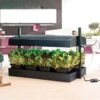 Odlingsstation LED Stor, Svart -Garden Supplies Sales 2024 odlingsstation led med bevattningsbricka
