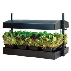 Odlingsstation LED Stor, Svart -Garden Supplies Sales 2024 odlingsstation med bevattningsbricka svart