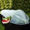 Odlingstunnel Med Kålnät, Liten -Garden Supplies Sales 2024 odlingstunnel giant easy micromesh tunnel 1