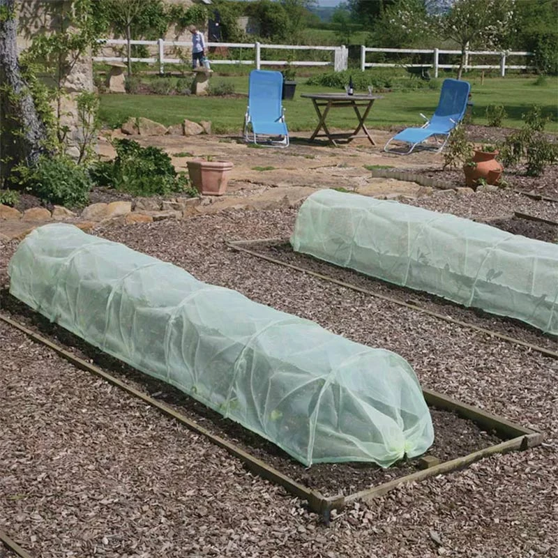 Odlingstunnel Med Kålnät, Stor 4 Odlingstunnel Med Kålnät, Stor - Image 2