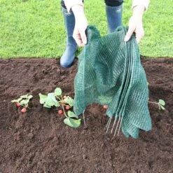 Odlingstunnel Med Nät, Stor 5 Odlingstunnel Med Nät, Stor -Garden Supplies Sales 2024 odlingstunnel giant easy net tunnel hopfallbar