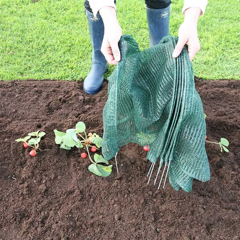 Odlingstunnel Med Nät, Stor 4 Odlingstunnel Med Nät, Stor - Image 2