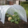 Odlingstunnel Med Plast, Stor