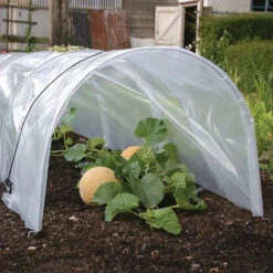 Odlingstunnel Med Plast, Stor
