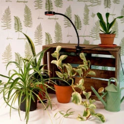 Orion Grow Light -Garden Supplies Sales 2024 orion grow light vaxtlampa