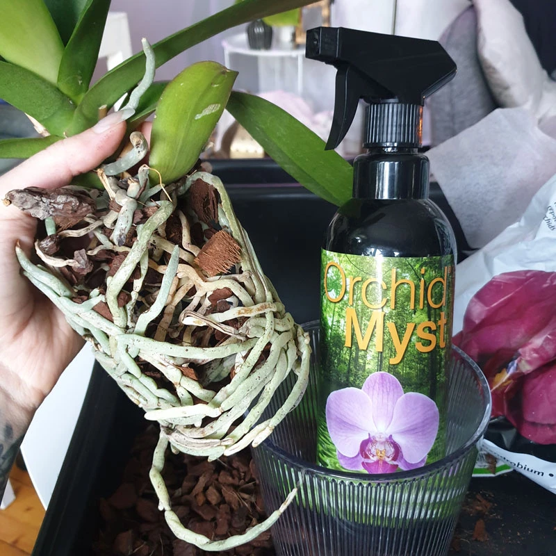 Orkidenäring Orchid Myst, 750 Ml 4 Orkidenäring Orchid Myst, 750 Ml - Image 2