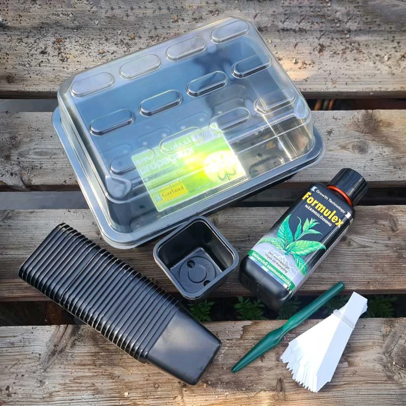 Så- Och Sticklingpaket 3 Så- Och Sticklingpaket