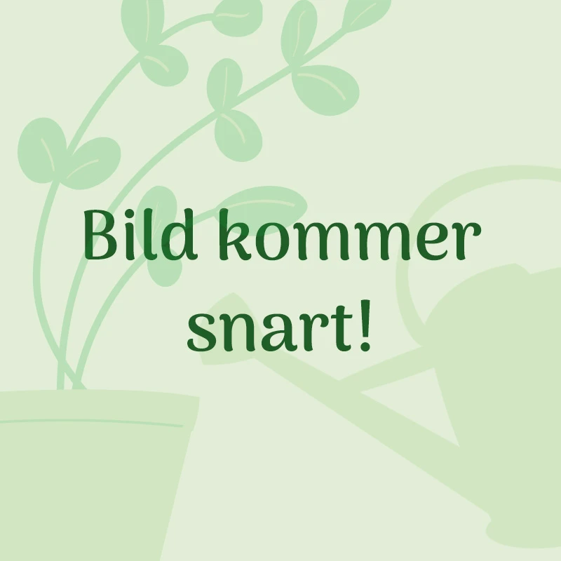 Perlit, 100 Liter 3 Perlit, 100 Liter