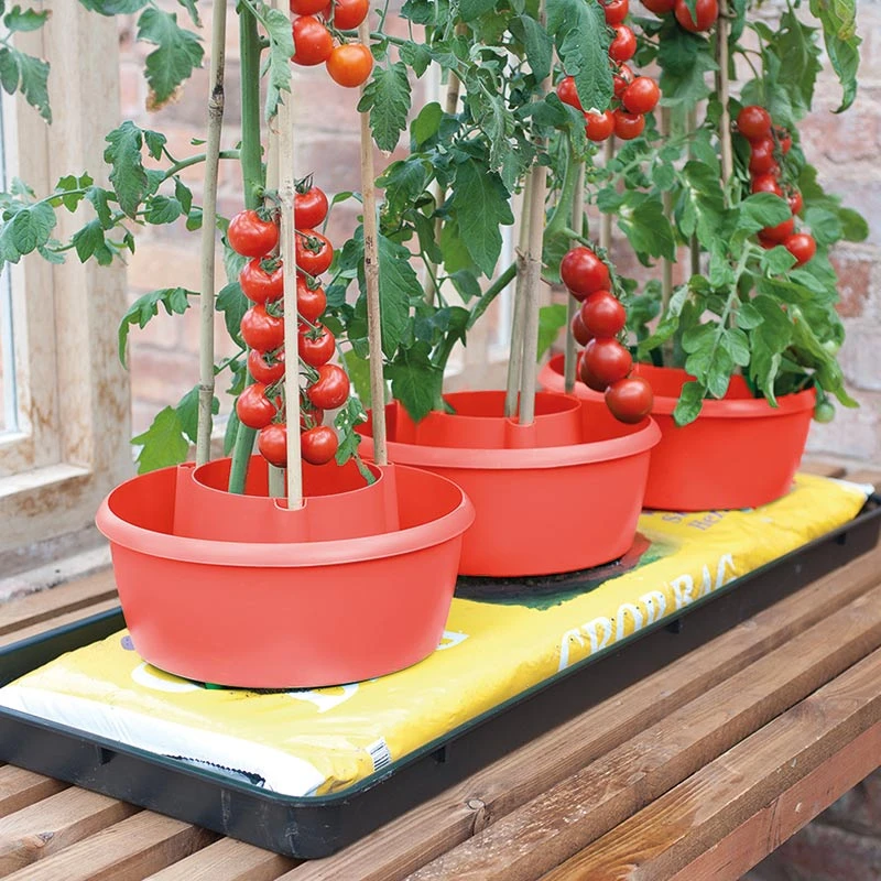 Plantkrage 3-pack, Röd 3 Plantkrage 3-pack, Röd - Image 2