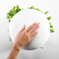 Plantui Smart Garden 13 Plantui Smart Garden -Garden Supplies Sales 2024 plantui smart garden top