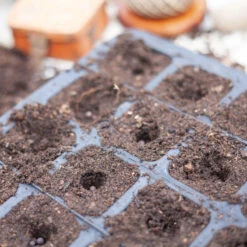 Pluggbrätte Av Naturgummi 20 Celler, Delbart 11 Pluggbrätte Av Naturgummi 20 Celler, Delbart -Garden Supplies Sales 2024 pluggbratte i naturgummi 20 cell 2